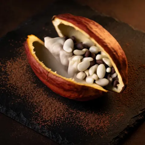 The pod split open, pale beans inside